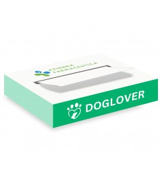 Distributore di post-it in cartoncino a forma di medicinaleper cani