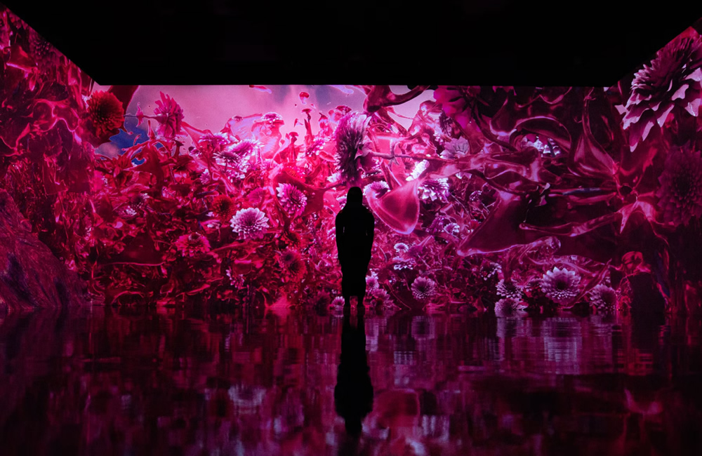 Mostra immersiva dell'Istituto Artechouse a New York