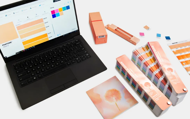 settore graphic design con computer e palette colori tonalità peach fuzz