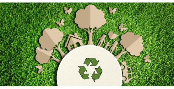 Ufficio Eco-friendly: tutti i vantaggi della carta riciclata